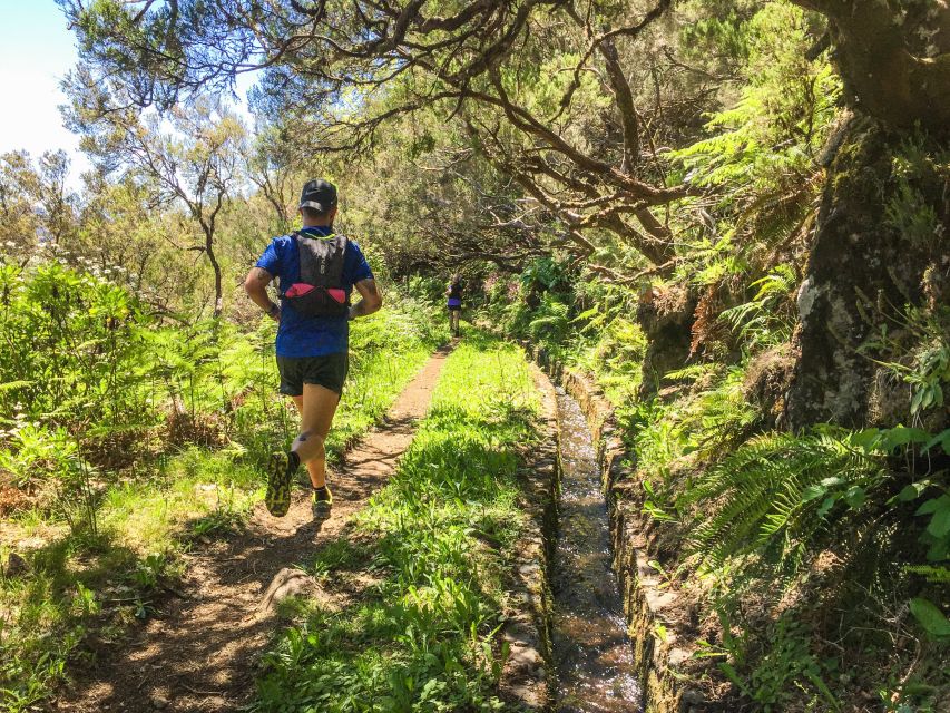 From Funchal: Folhadal Trail Running Tour (Moderate) - Location and Booking