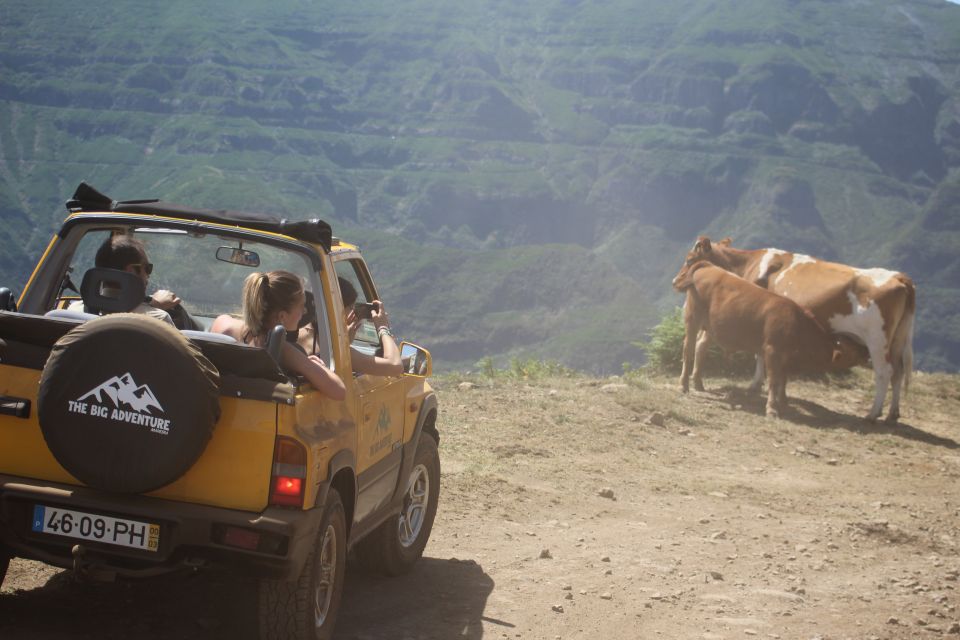 From Funchal: Guided Tour of Madeira Mountains in a Jeep - Testimonials and Location