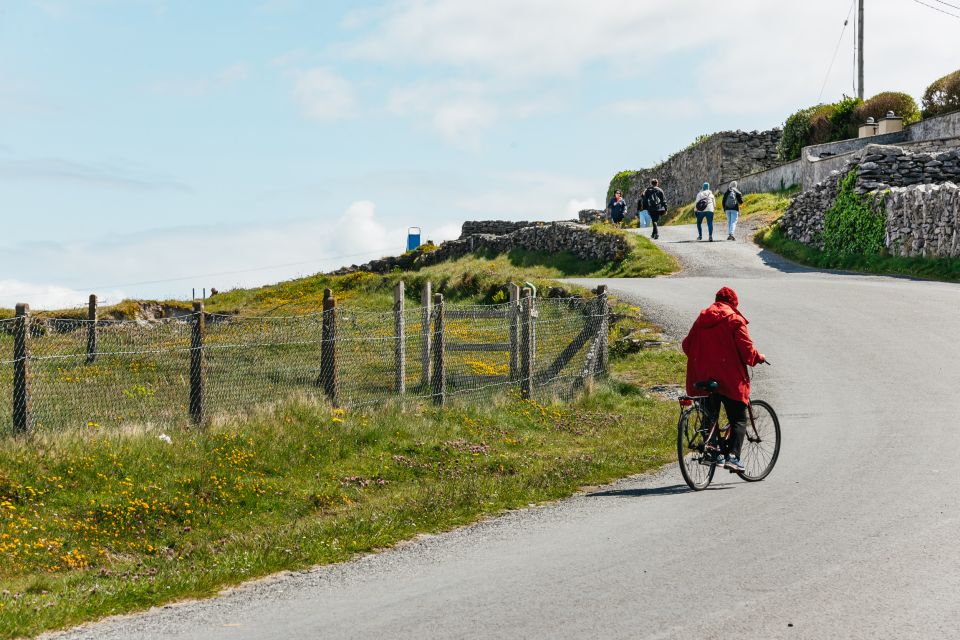 From Galway: Aran Islands & Cliffs of Moher Full-Day Trip - Customer Reviews