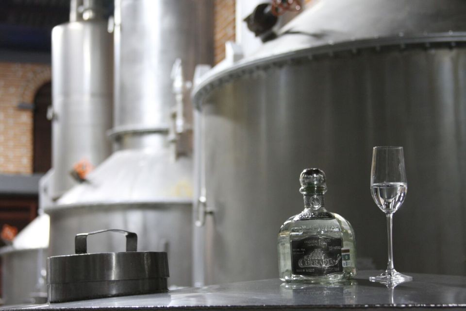 From Guadalajara: Tequila Tour & Tequila Tasting in Hacienda - Customer Reviews