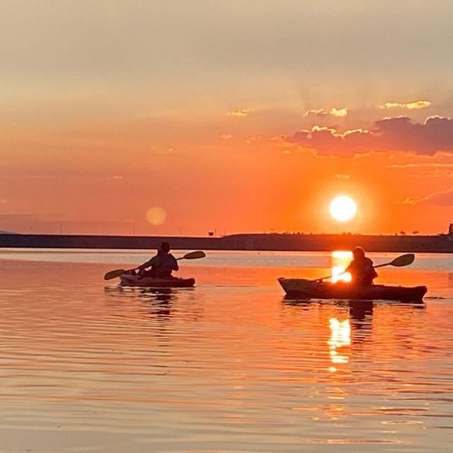 From Guanajuato: Presa La Purisima Park Kayak Tour - Additional Information