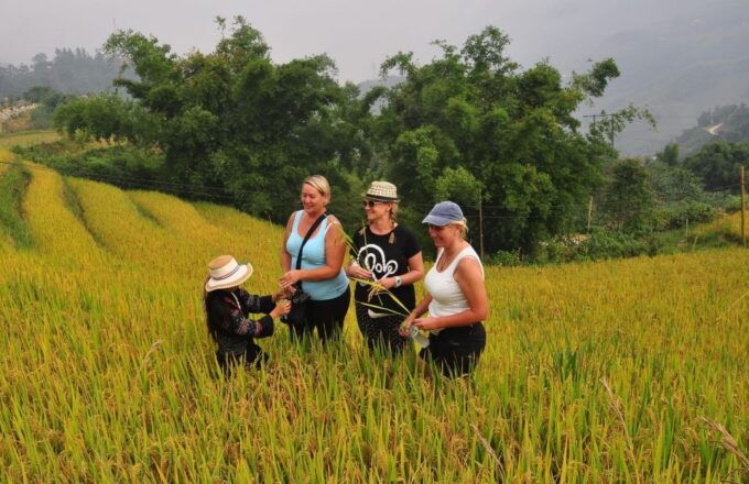 From Hanoi: Explore Sapa 2-Day Tour - Prohibited Items and Trek Details