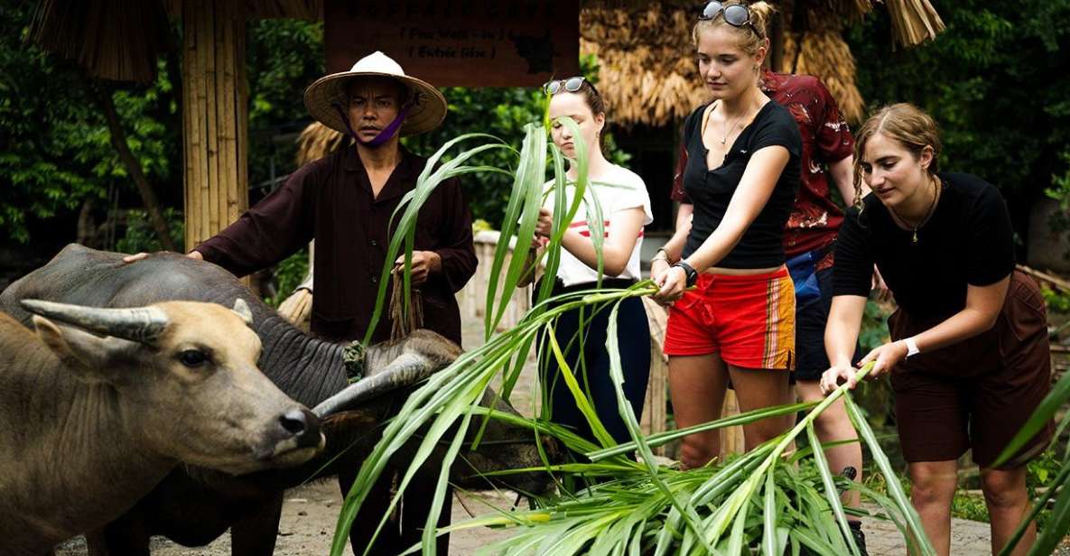 From Hanoi: Ninh Binh 3-Day Unique Trip With Buffalo Cave - Directions