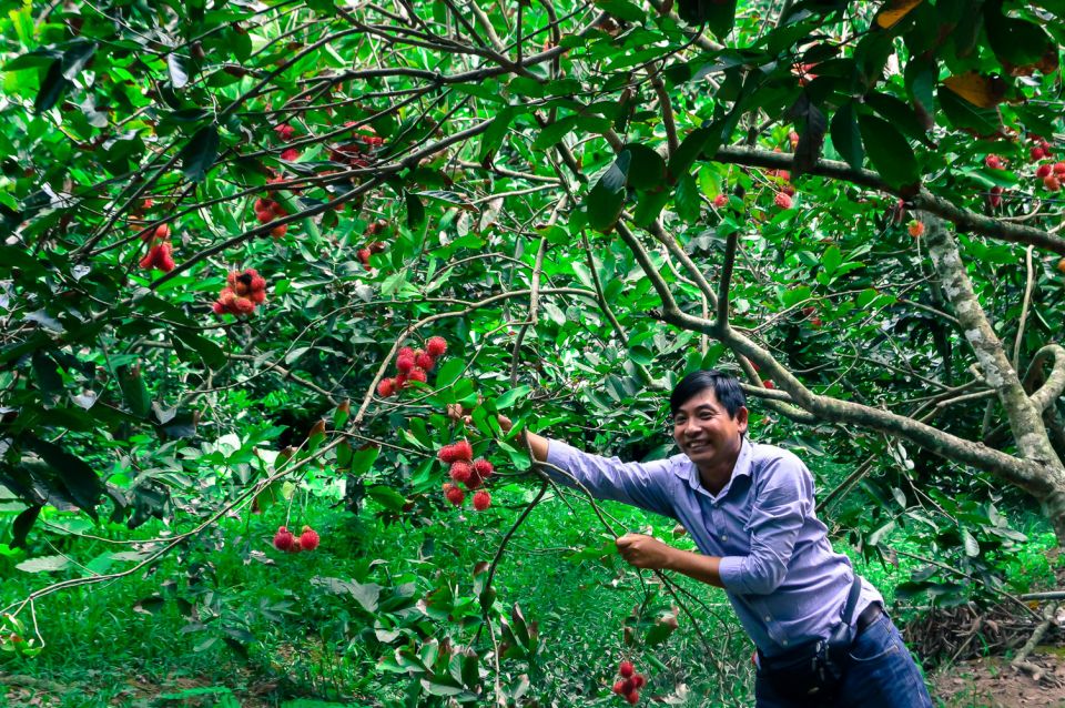 From HCM: Mekong Delta Tour to Cai Be With Cooking Class - Tour Experience