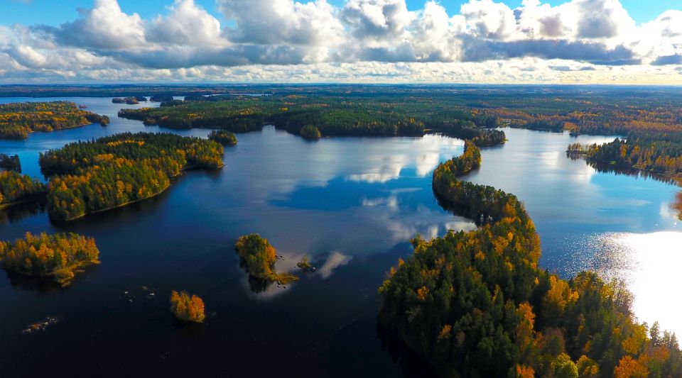 From Helsinki: Mushroom Hunting Tour in a National Park - Immersive Adventure