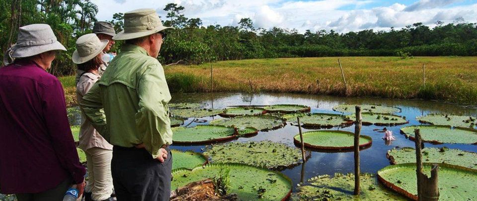 From Iquitos 3-Day Adventure on the Yanayacu River - Whats Included