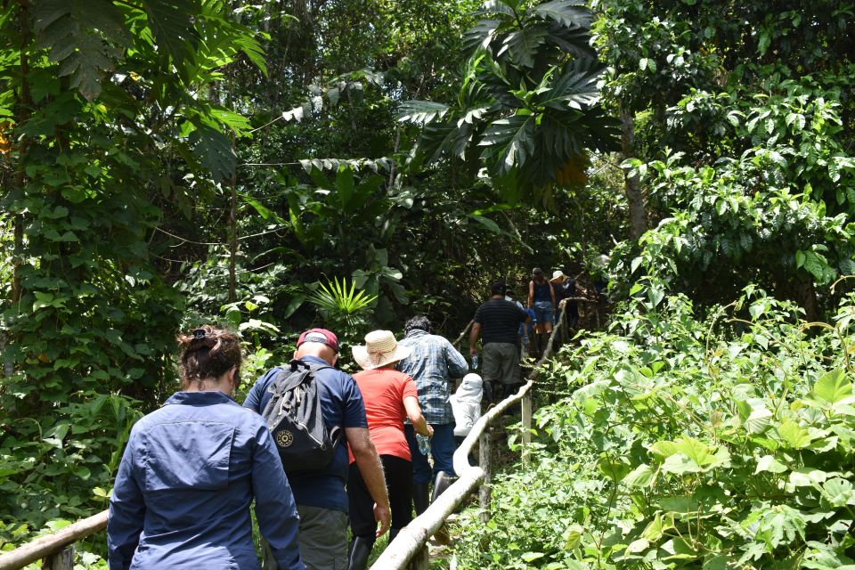 From Iquitos: 4-day Pacaya Samiria National Reserve Tour - Booking and Cancellation Policies