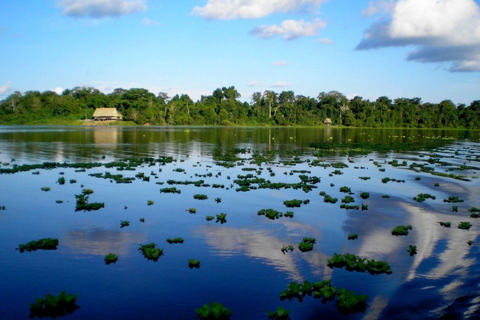 From Iquitos 4 Day Yanayacu River Tour With Bird Watching - Common questions