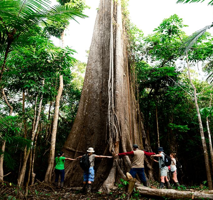 From Iquitos: Full Day Pacaya Samiria - Experience Highlights