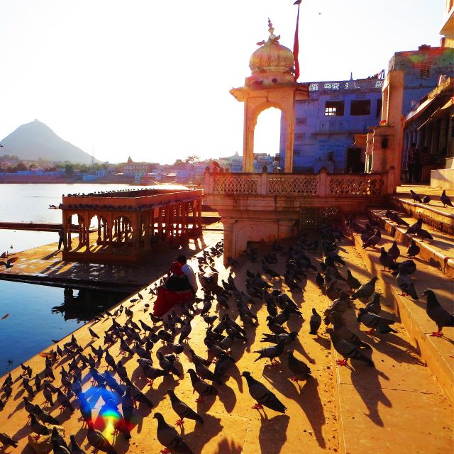 From Jaipur: Private Self-Guided Same Day Trip to Pushkar - Last Words