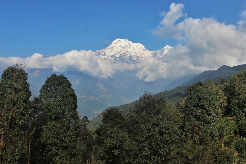 From Kathmandu :Budget 7 Night 8 Days Mardi Himal Trek - Restrictions