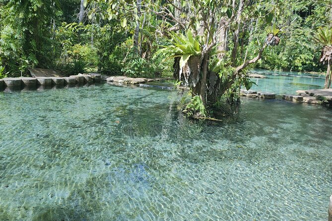 From Khao Lak : Cheow Lan Lake & Nam Rad Emerald Pool - Wildlife Spotting Opportunities