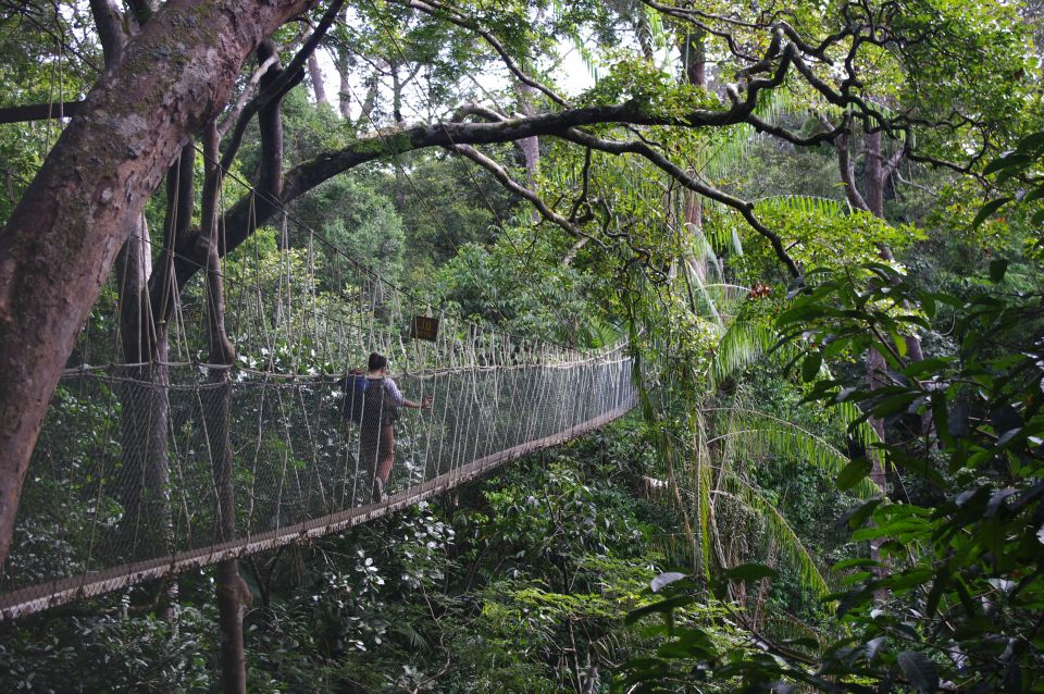 From Kuala Lumpur: Taman Negara National Park Day Tour - Excursion Highlights and Recommendations