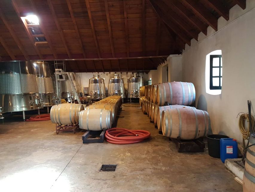 From Lagos: Private Algarve Wineries Tour With Tastings - Wine Tasting Experience