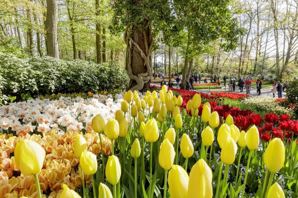 From Leiden Central: Keukenhof Ticket & Public Bus Transfer - Travel Time Details