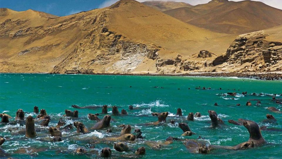 From Lima: Paracas–Huacachina and Nazca Lines 2 Days/1 Night - Additional Information