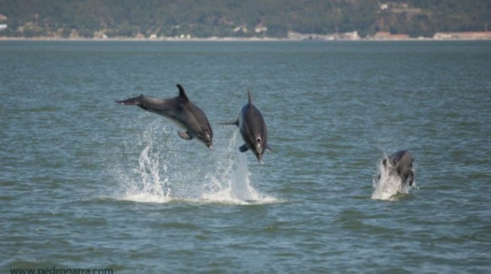 From Lisbon: Arrabida Natural Park Private Full-Day Tour - Additional Information