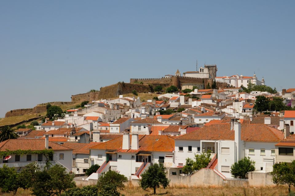 From Lisbon: Private Customized Small-Group Tour to Evora - Last Words