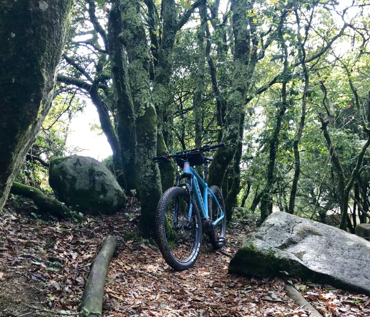 From Lisbon: Sintra Bike Tour With Lunch and 2 Attractions - Location and Language Options