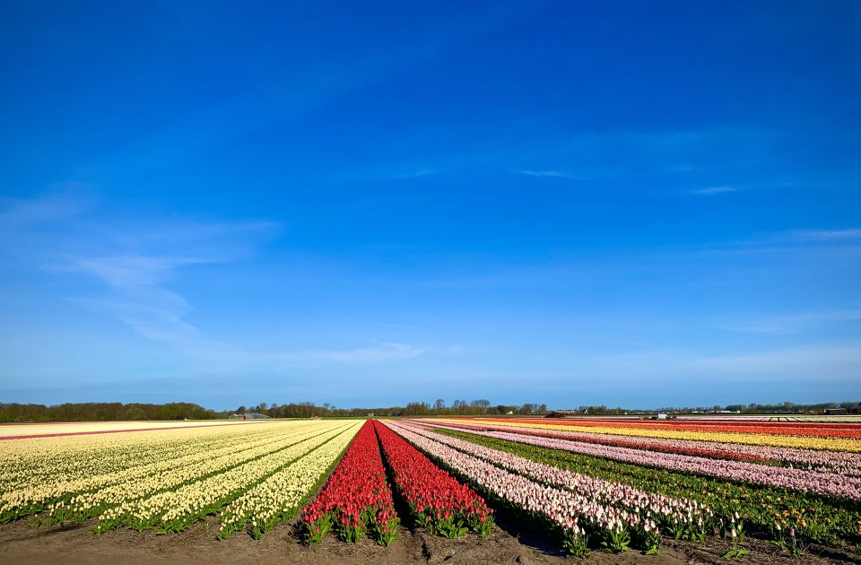 From Lisse: Flower Bike Tour Along Keukenhof And De Tulperij