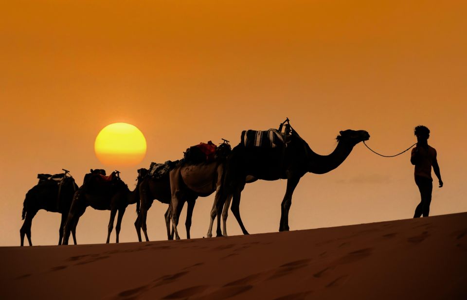 From Marrakech: 3-Day Merzouga Desert Trip With Camp Stay - Tour Details and Customer Feedback