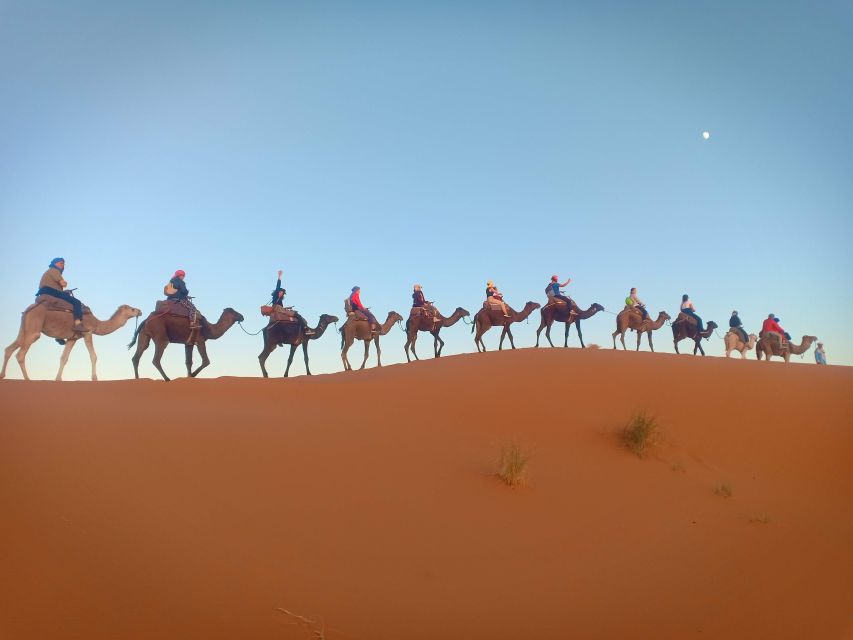 From Marrakech: 3-Day Trip to Fes via Merzouga Desert - Transportation and Guides