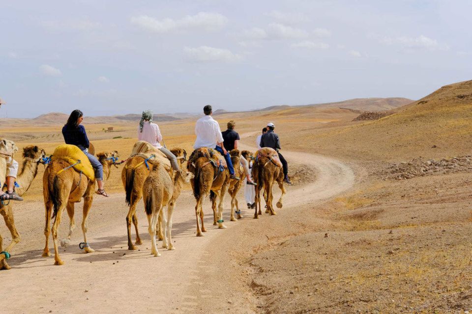 From Marrakech: Agafay Desert Quad Bike and Camel Ride Tour - Last Words