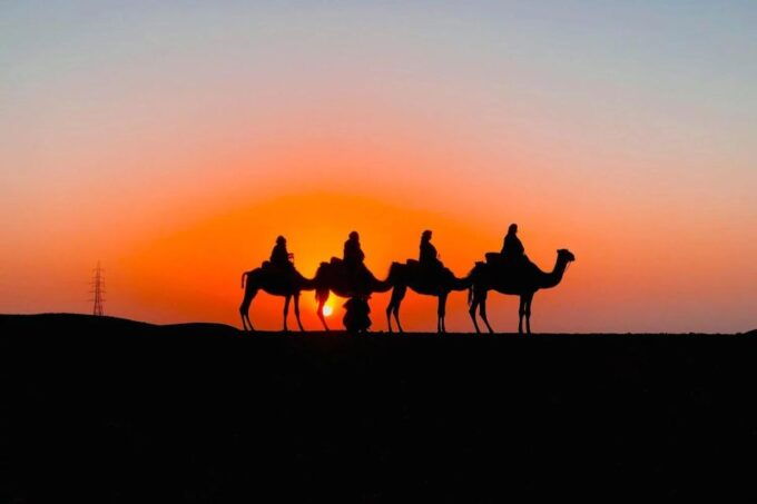 From Marrakech Agafay Pro Pack Sunset Camel Ride & Dinner - Adventure Experience and Recommendations