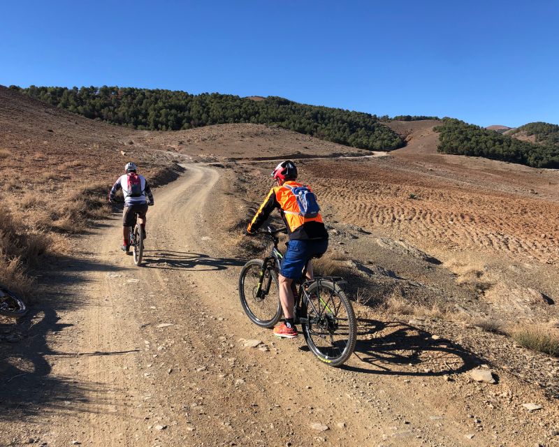 From Marrakech: Atlas Mountain and Berber Village Bike Trip - Guided Experience