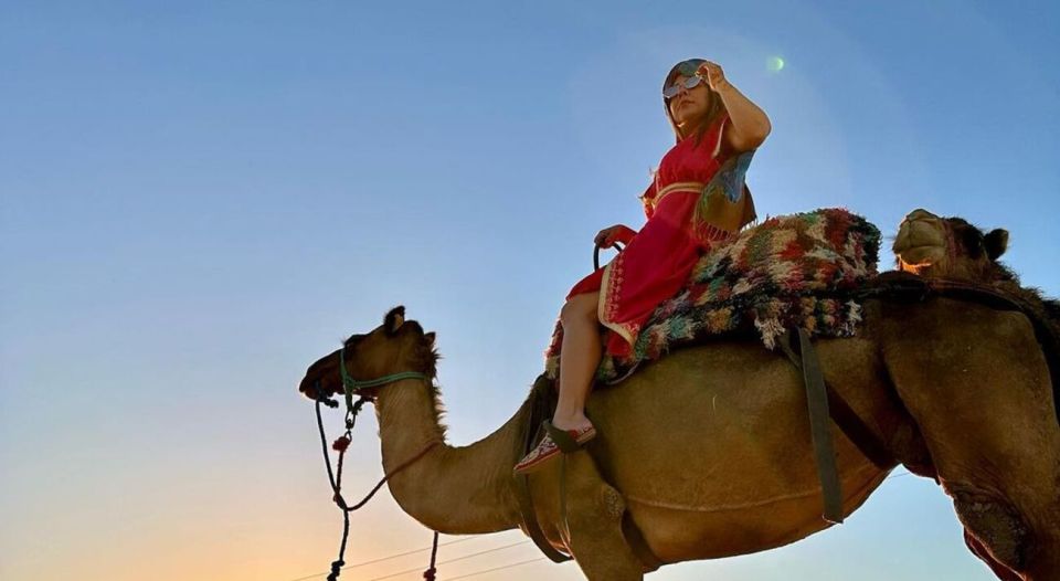 From Marrakech: Camel in Agafay Desert - Last Words