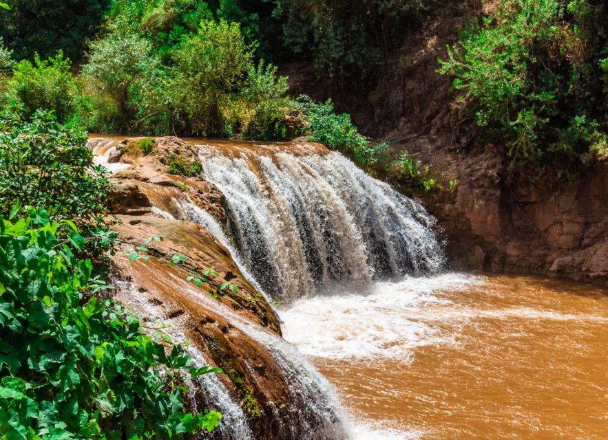 From Marrakech: Day Trip to Ouzoud Waterfalls - Booking Information