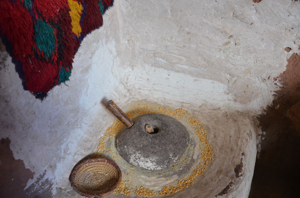 From Marrakech: Ourika Valley Day Trip With Lunch - Customer Feedback