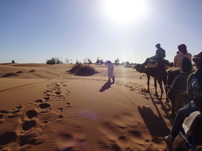 From Marrakech: Private 3-Day Sahara to Merzouga Tour - Location Feedback