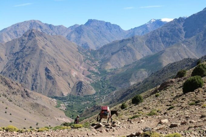 From Marrakech: Taoudja Summit Hike in the Atlas Mountain - Meeting the Local Berber Communities