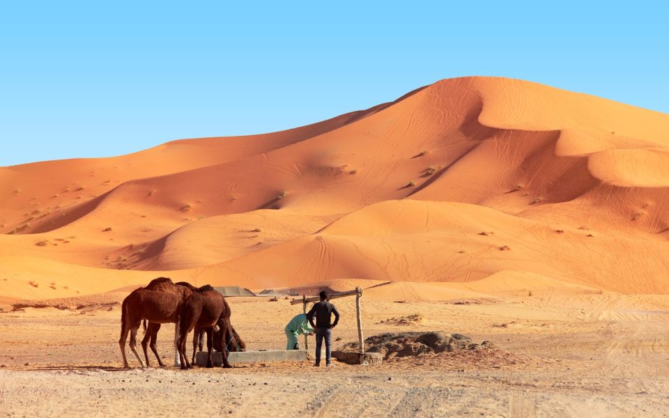 From Marrakech to Fes: 3 Days Group Desert Tour & Camel Trek - Last Words