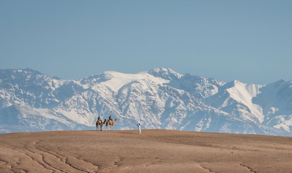 From Marrakech: VIP Agafay Desert & Oasis Camel Experience - Location Details