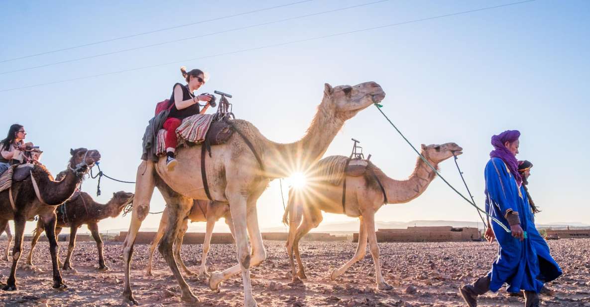 From Marrakech: Zagora 2-Day Desert Safari With Food & Camp - Customer Reviews