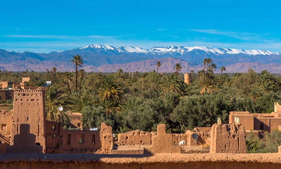 From Marrakesh: 4-Day Private Atlas Mountains & Desert Tour - Customer Feedback