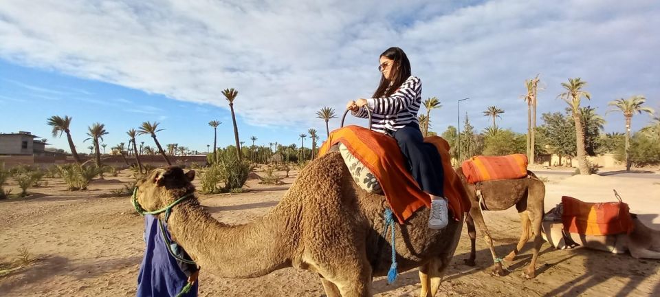 From Marrakesh: Camel Ride Marrakech - Additional Information