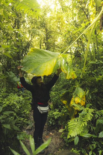 From Medellin: Guided Hiking Tour in Nature - Location and Booking