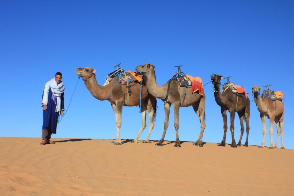 From Merzouga: Sunset Camel Ride & Sandboarding - Flexibility