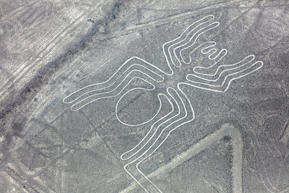 From Nazca: Nazca Lines Flight - Experience Highlights