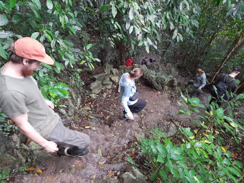 From Ninh Binh: Cuc Phuong National Park Group Day Tour - Traveler Ratings and Reviews