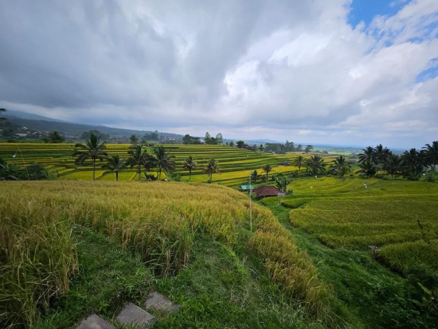 From North Bali :Tanah Lot, Sangeh Forest & Ulun Danu Temple - Insider Tips