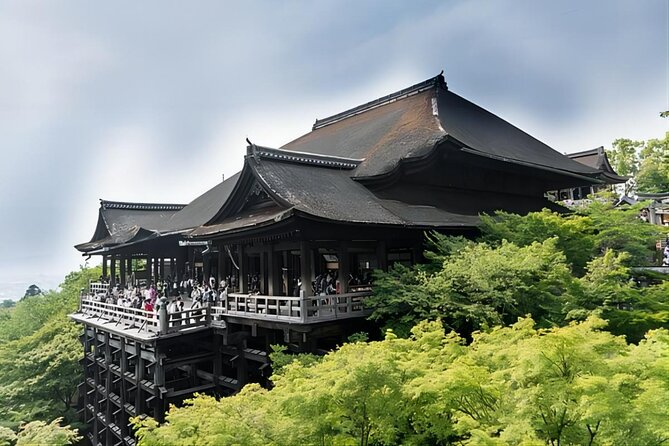 From Osaka: 10-hour Private Custom Tour to Kyoto - Customer Support Contact Details