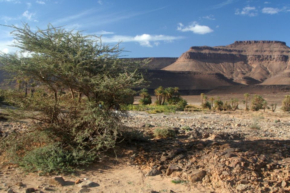 From Ouarzazate: Zagora and Draa Valley Day Tour - Logistics and Booking