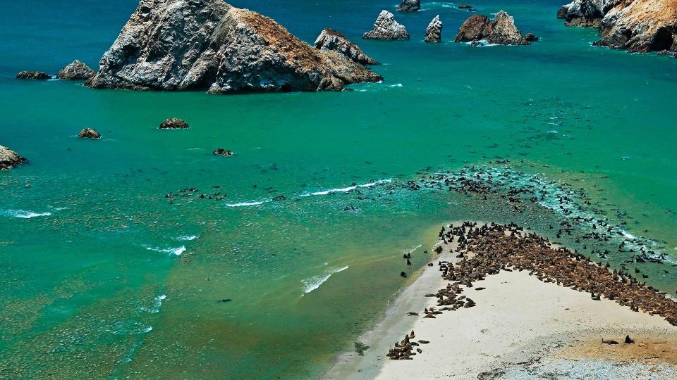 From Paraacas Ballestas Islands Paracas National Reserve - Inclusions