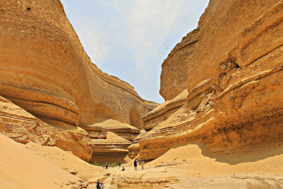 From Paracas/Ica: Canyon of the Lost Guided Day Trip - Scenic Drive to Callango