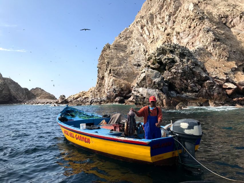From Paracas or Pisco: Ballestas Islands Private Boat Trip - Free Cancellation Policy