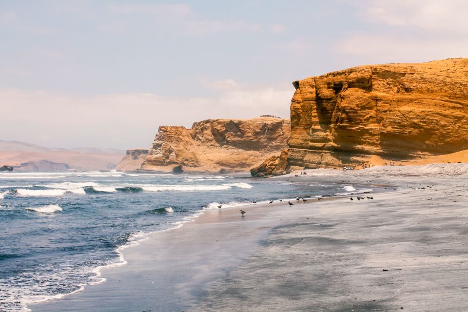 From Paracas: Paracas National Reserve Private Tour - Directions and Visitor Information